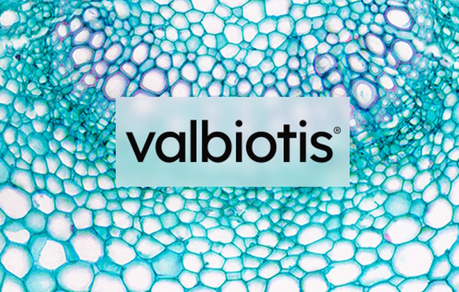 Logo valbiotis